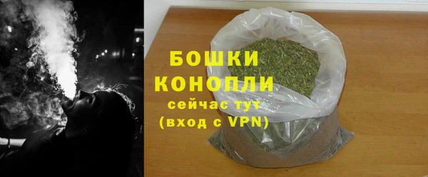 крисы Сосновка